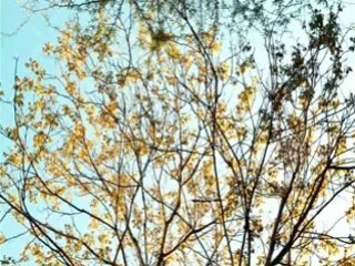 Küçük Günahlar - Fragman