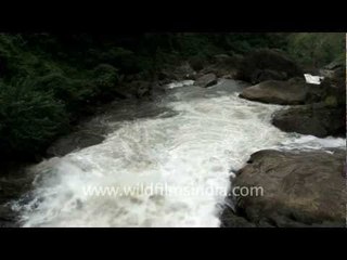 Rumbling Vattaparai Falls, Kanyakumari