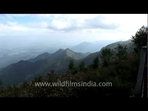 Scenic Kodaikanal and its verdant hills