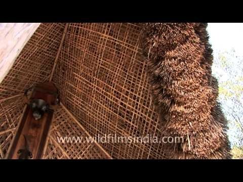 Thatched old huts at Kisama