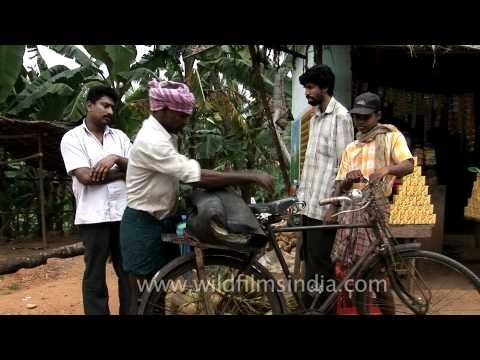 Villagers near Thotti Palam, Kerala