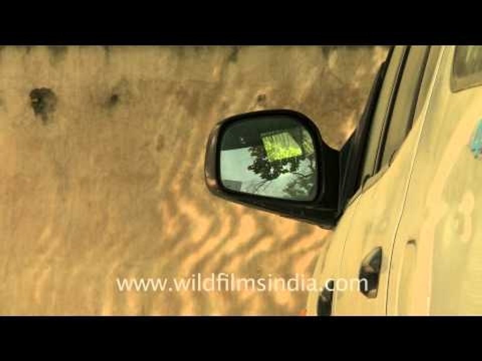 Car viewfinder