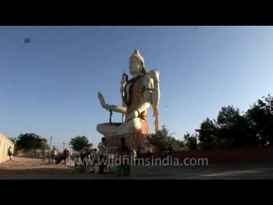 Pigeons sit on the Lord at Nageshwar Temple, Dwarka