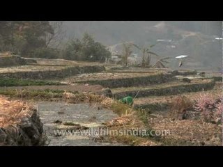 Naga ladies returning home from the fields, Jakhama - Kohima