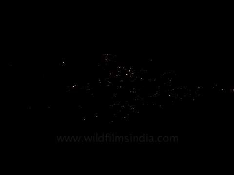 Kohima's lights twinkling at night