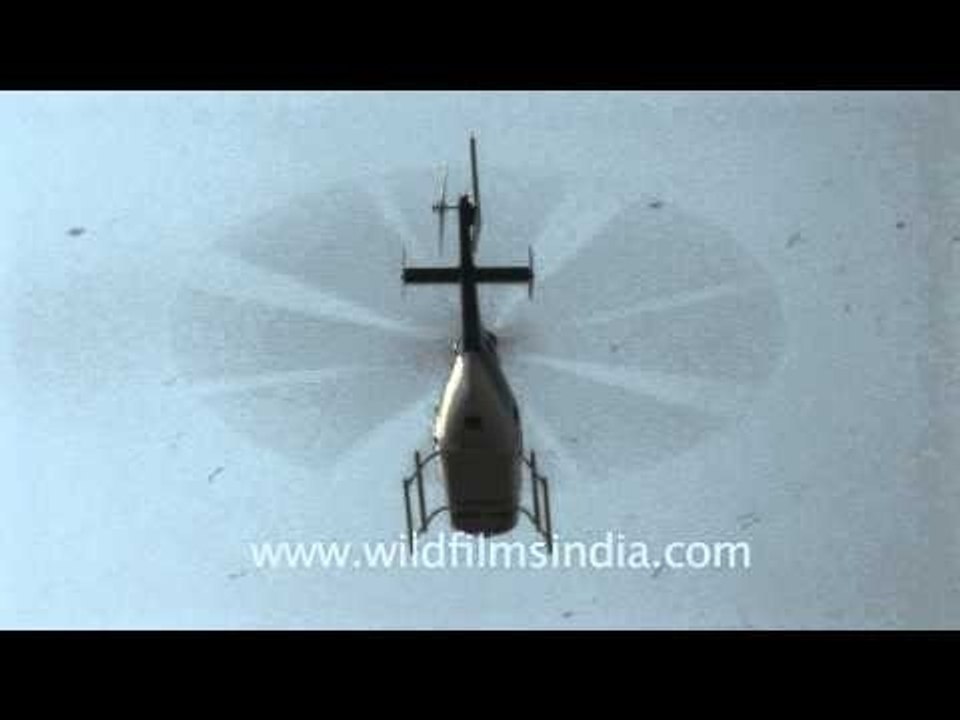 Playing holi using a heli!!