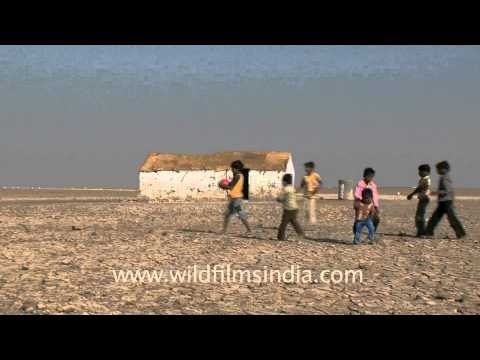 Playing in the salt desert, Rann of Kutch