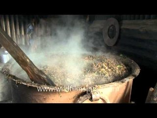 Food for Ziona's pigs, at the world's largest family!