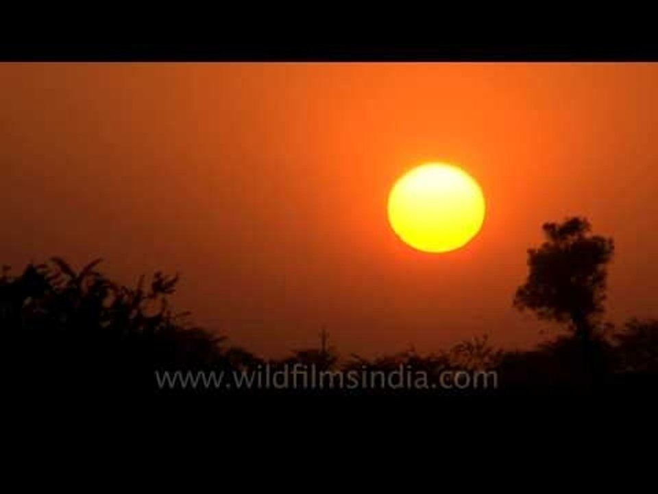 A quick sunset!