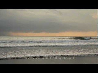 Waves hitting a Sri Lankan beach