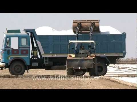 Backhoe loader loading salt onto a truck