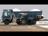 Loading, loads of salt, The Little Rann of Kutch