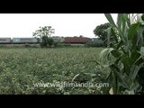 Colourful Indian goods train passes through agricultural fields!