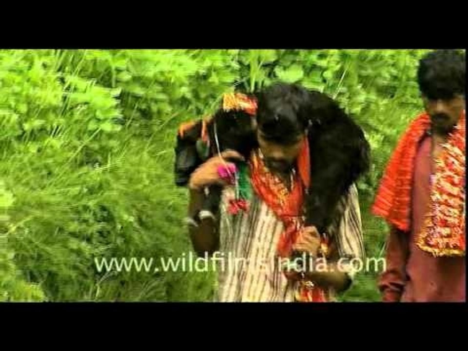 Followers on the path to Nanda Devi