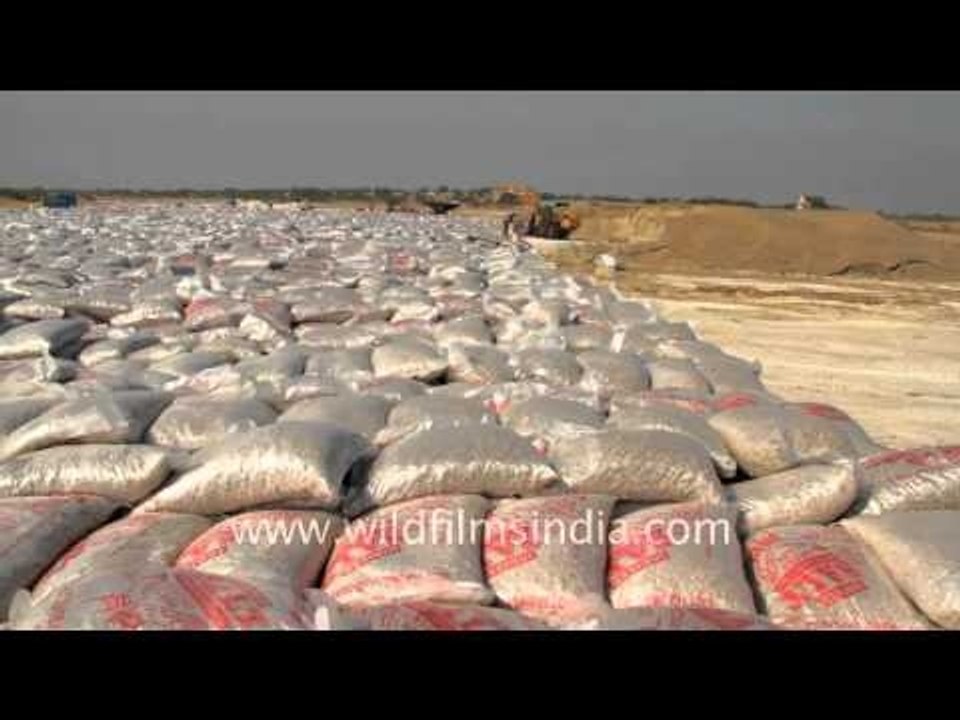 Packed salt, Gujarat