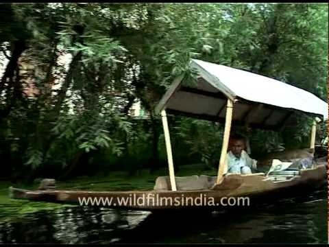 Houseboats in Dal lake, Srinagar