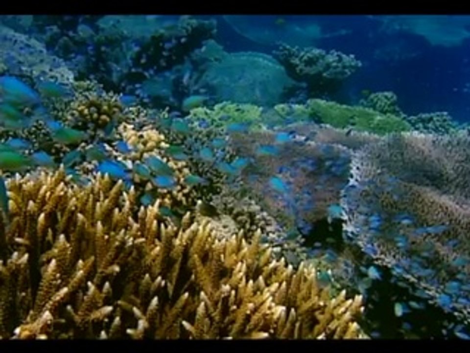 Acqua e Terra Angel Rada
