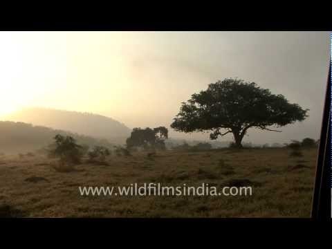 Panna National Park along the Ken River!