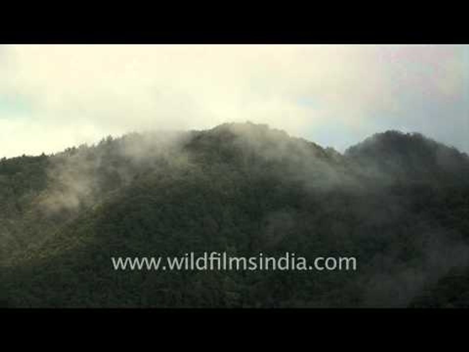 Time Lapse of the Mist