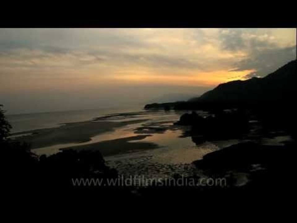 Timor at Dusk!