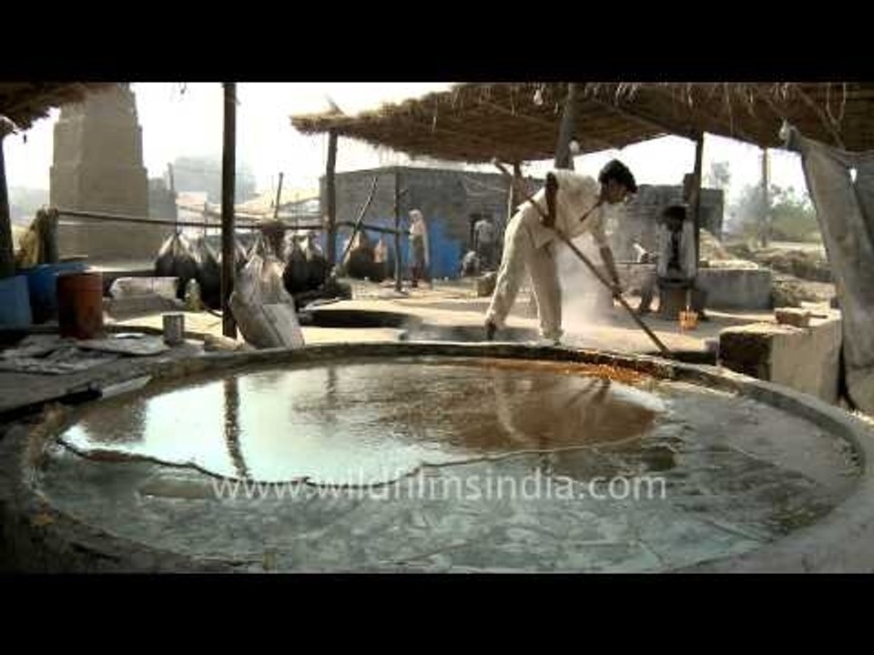 India - Jaggery Making