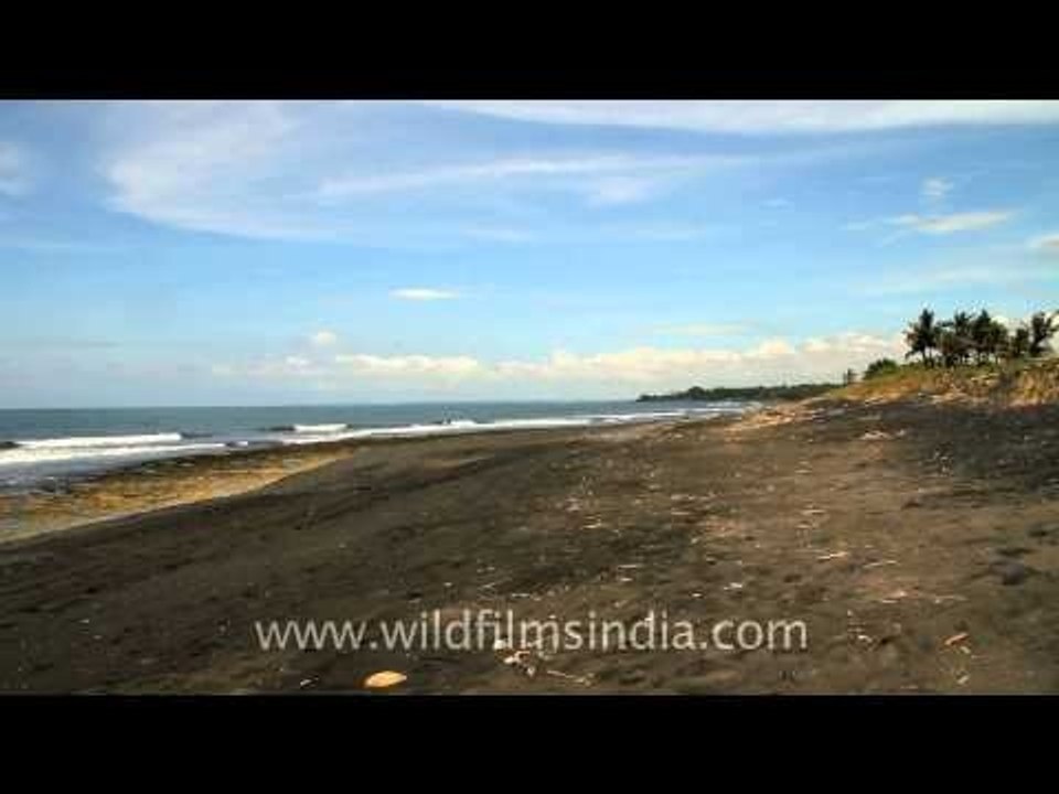 Surfers would love it, Keramas beach