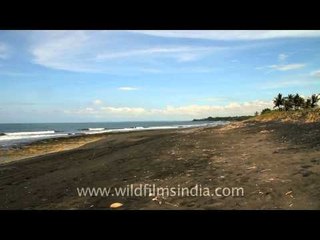 Surfers would love it, Keramas beach