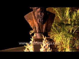 Mohiniyattam: Traditional South Indian dance