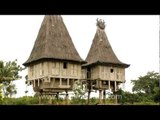 East Timor House on Stilts