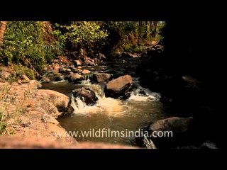 Sumatra - The 'Africa of Southeast Asia'