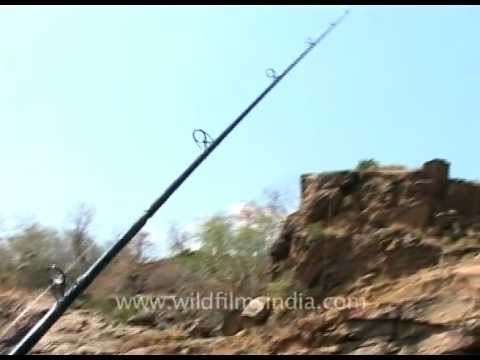 Angling in Cauvery wildlife sanctuary, Karnataka