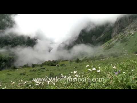 Rataban with clouds, Valley of Flowers