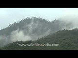 Clouds billowing in the Valley of flowers