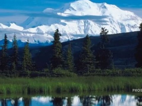 Cruise Vacations Dix Hills NY | (631) 418-8105 | Ron Zilkha of Cruise Holidays