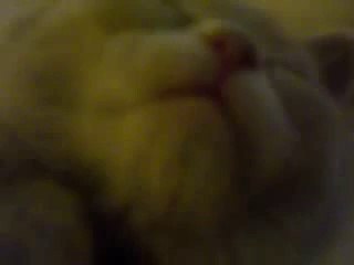 ♬카지노무료머니º↔◑▶ YAM ７７７.℃OM ◁◐☜카지노무료머니카지노무료머니카지노무료머니카지노무료머니카지노무료머니카지노무료머니카지노무료머니카지노무료머니