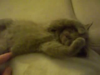 △강친닷컴℡♤▤▶ YAM ７７７.℃OM ◁▤↔강친닷컴강친닷컴강친닷컴강친닷컴강친닷컴강친닷컴강친닷컴강친닷컴