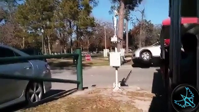 Komik Videolar, Fail Videoları, Kaza Videoları