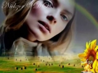 Fatih Kısaparmak - Papatya Falı