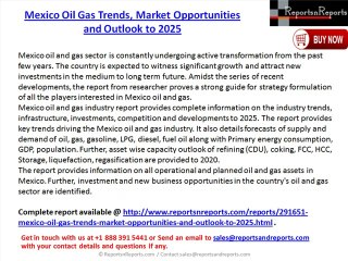 Mexico Oil Gas Industry Opportunities and Outlook to 2025