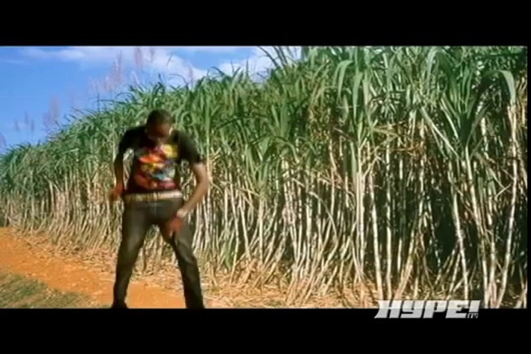 Elephant Man ft. Ding Dong - Dip Again