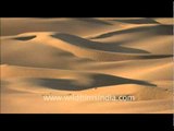 Sam Sand Dunes in Rajasthan