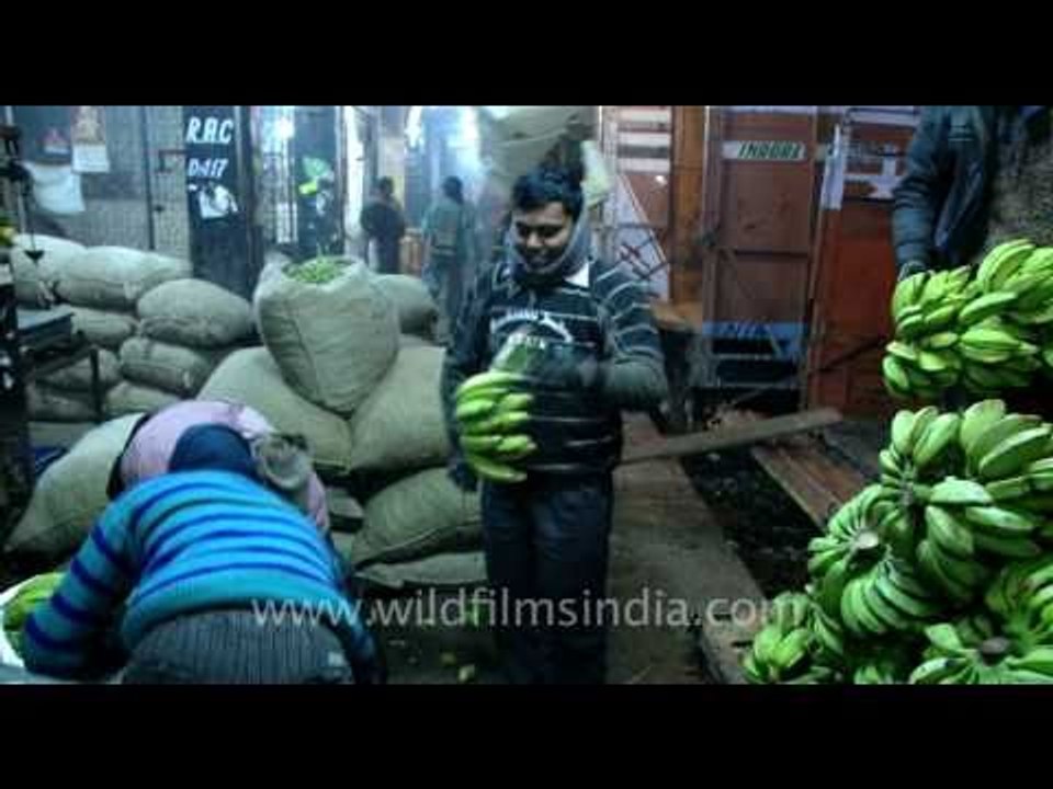 Wholesale Vegetable Market  in Azadpur, New Delhi