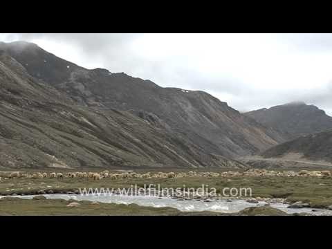 Time Lapse of Clouds, Sikkim