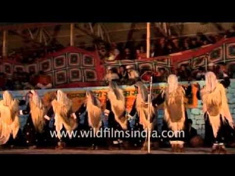 Ladakhi womens' dance