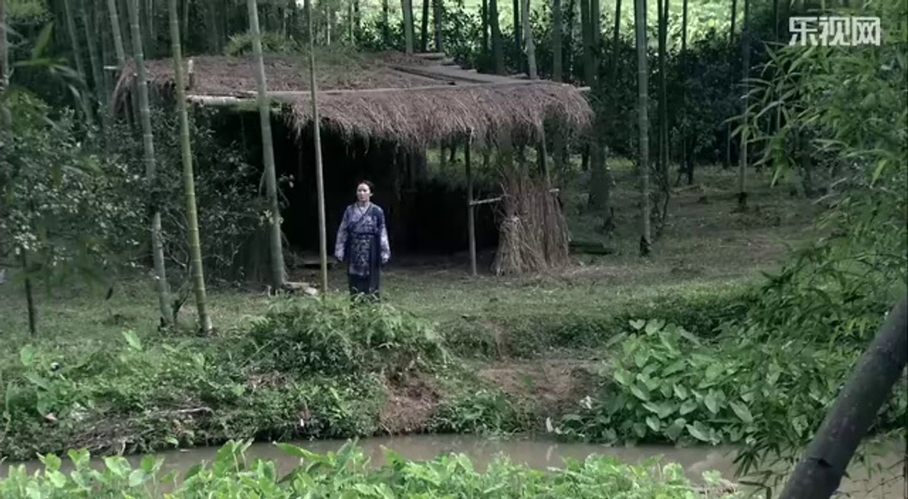 大南迁12