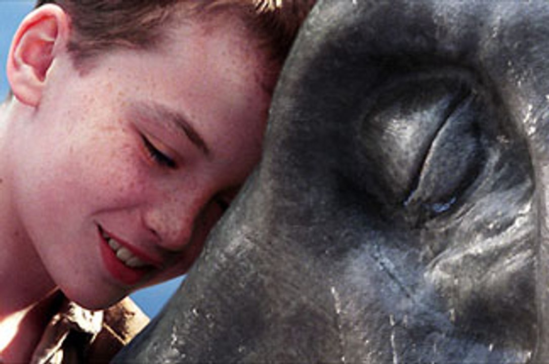 Bande-annonce : Le dragon des mers VF