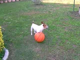 sally joue au ballon