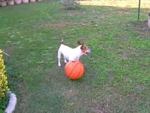 sally joue au ballon