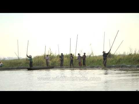 Tribal men fishing at the bank of Loktak Lake in Manipur