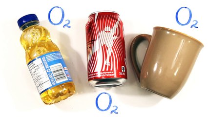 What If You Stopped Drinking Water